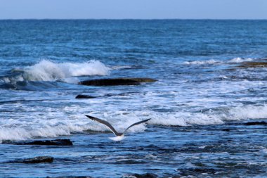 Akdeniz'de İsrail devletinin kuzey kıyısında 