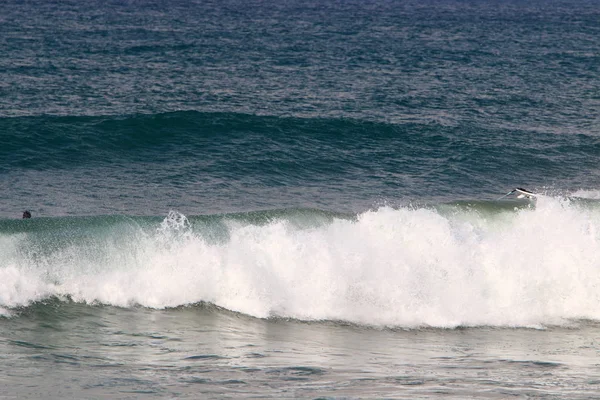 Costa Del Mar Mediterraneo Nel Nord Dello Stato Israele — Foto Stock