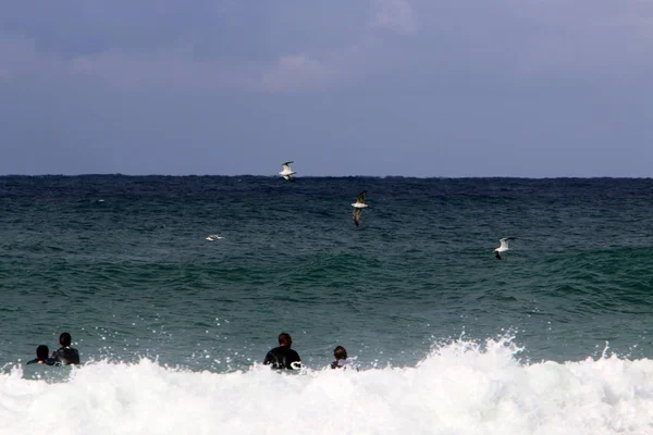 Серфинг Катание Волнам Средиземного Моря Специальных Досках — стоковое фото