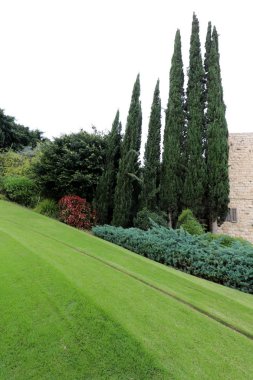 binalar ve Hayfa İsrail Bahai bahçede bitkilerde