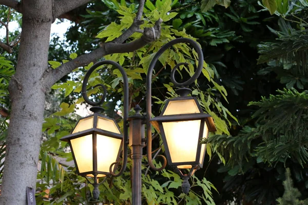 Lantern Lighting Installed City Park Israel — Stock Photo, Image