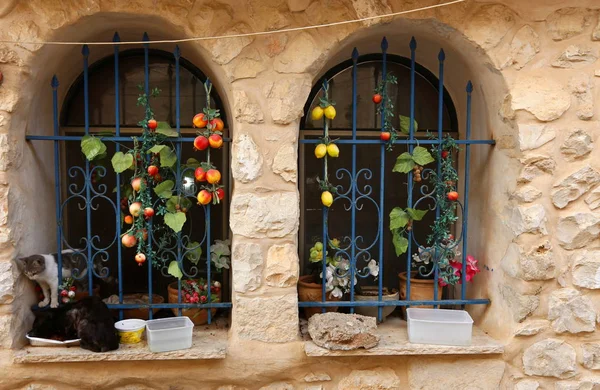 Fenêtre Est Une Ouverture Dans Mur Qui Sert Apporter Lumière — Photo