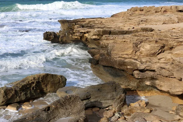 イスラエル北部の地中海の石海岸 — ストック写真
