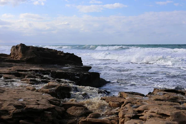 Sten Kusten Medelhavet Norra Israel — Stockfoto