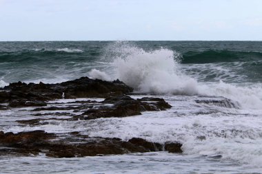 Akdeniz Kuzey İsrail'in taş sahil 