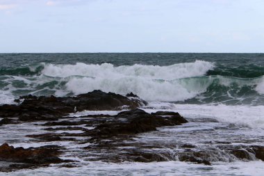 Akdeniz Kuzey İsrail'in taş sahil 