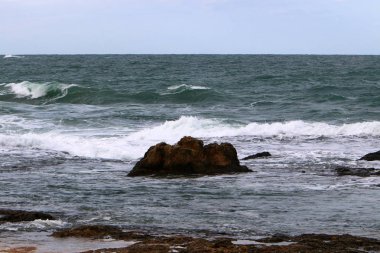 Akdeniz Kuzey İsrail'in taş sahil 