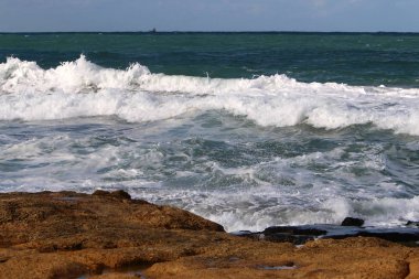 Akdeniz Kuzey İsrail'in taş sahil 