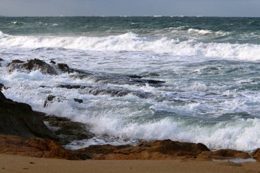 Akdeniz Kuzey İsrail'in taş sahil 