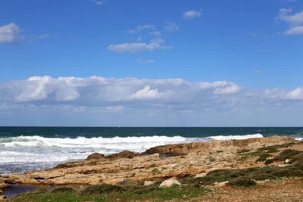 イスラエル北部の地中海の石海岸 — ストック写真