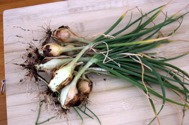 Akdeniz kıyısında güneşli ve kış günü piknik   