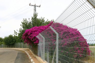 Bir çit içine alın ve bir yabancı topraklarda sınır işaretlemek için hizmet veren bir yapıdır. 