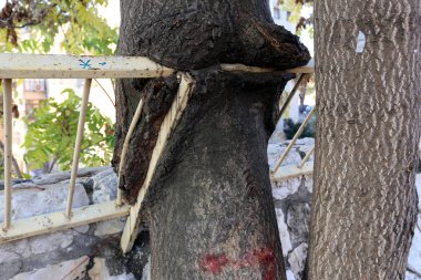 Bir çit içine alın ve bir yabancı topraklarda sınır işaretlemek için hizmet veren bir yapıdır. 