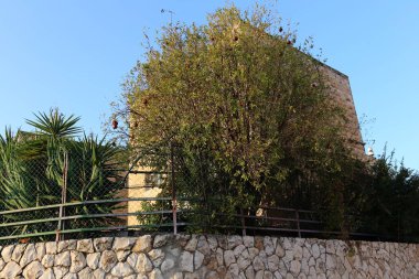 Bir çit içine alın ve bir yabancı topraklarda sınır işaretlemek için hizmet veren bir yapıdır. 