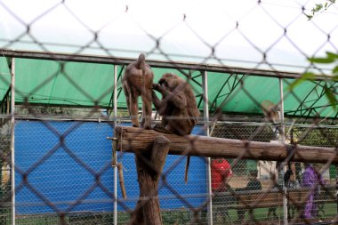 Bir çit içine alın ve bir yabancı topraklarda sınır işaretlemek için hizmet veren bir yapıdır. 
