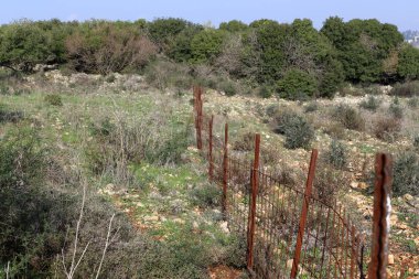 Bir çit içine alın ve bir yabancı topraklarda sınır işaretlemek için hizmet veren bir yapıdır. 