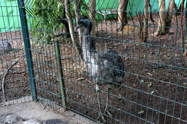 Kerítés Egy Szerkezet Amely Arra Szolgál Hogy Tegye Jelölje Külföldi — Stock Fotó