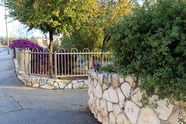 Bir çit içine alın ve bir yabancı topraklarda sınır işaretlemek için hizmet veren bir yapıdır. 