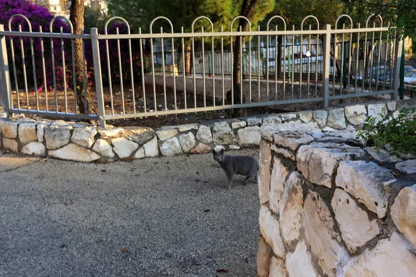 Bir çit içine alın ve bir yabancı topraklarda sınır işaretlemek için hizmet veren bir yapıdır. 