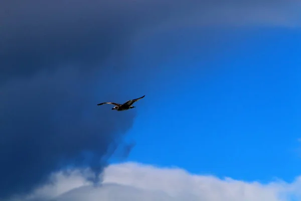 Typ Och Färg Himlen Beror Vilken Tid Dagen Säsongen Och — Stockfoto