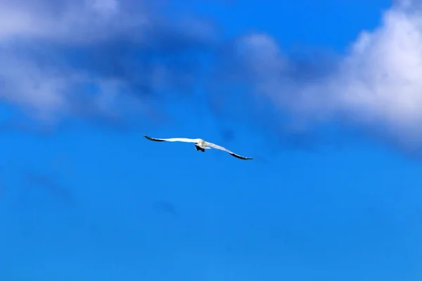 Typ Och Färg Himlen Beror Vilken Tid Dagen Säsongen Och — Stockfoto