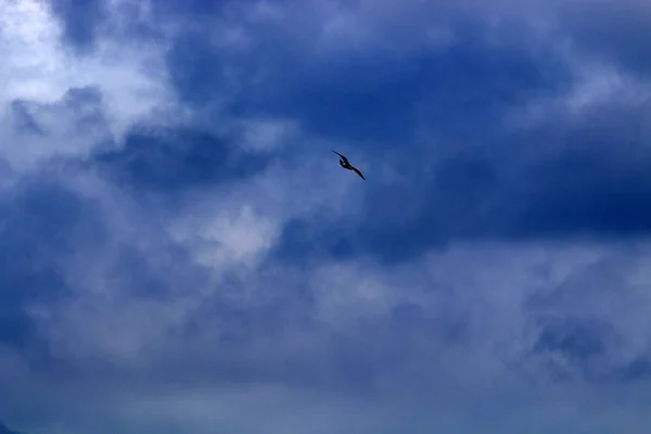 Het Type Kleur Van Hemel Hangt Van Het Moment Van — Stockfoto