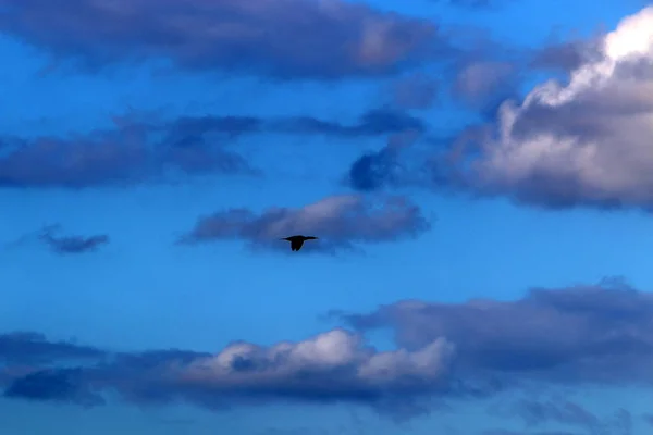 Type Color Sky Depends Time Day Season Main Weather — Stock Photo, Image