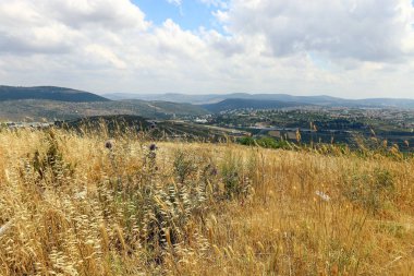 İsrail devleti kuzeyde doğa ve çiçek resimleri kapat 