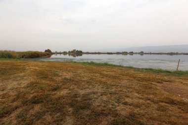 İsrail devleti kuzeyde doğa ve çiçek resimleri kapat 