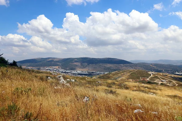 Bilder Natur Och Blommor Nära Håll Norra Delen Staten Israel — Stockfoto