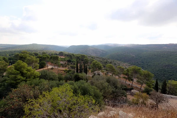 Images Nature Des Fleurs Gros Plan Dans Nord Etat Israël — Photo