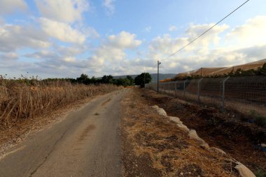 dağ yolunda İsrail devletinin kuzey ormanında 