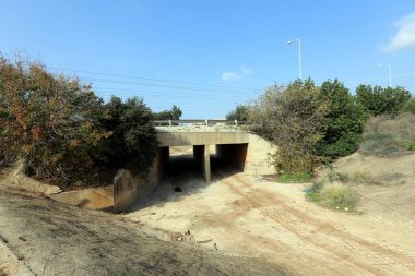 dağ yolunda İsrail devletinin kuzey ormanında 