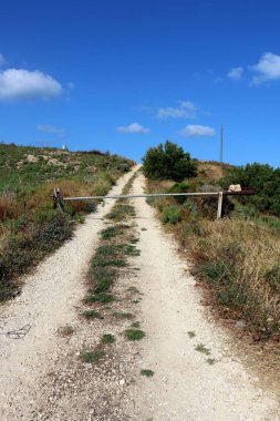 dağ yolunda İsrail devletinin kuzey ormanında 