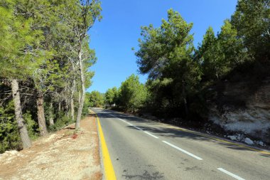 dağ yolunda İsrail devletinin kuzey ormanında 