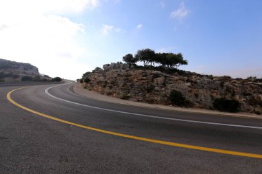 dağ yolunda İsrail devletinin kuzey ormanında 
