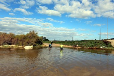 dağ yolunda İsrail devletinin kuzey ormanında 