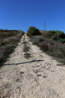 dağ yolunda İsrail devletinin kuzey ormanında 