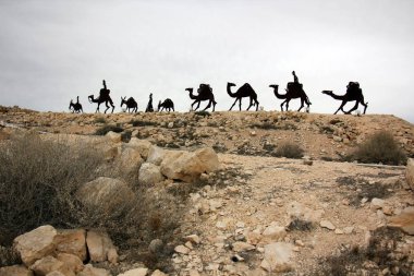 dağ yolunda İsrail devletinin kuzey ormanında 