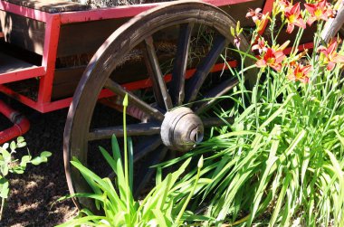 Tekerlek bir yuvarlaktır, serbestçe gövdesi sağlayan eksen diskte dönen rulo ve değil slayda yerleştirilir. 