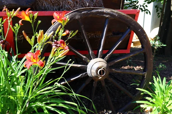 Tekerlek bir yuvarlaktır, serbestçe gövdesi sağlayan eksen diskte dönen rulo ve değil slayda yerleştirilir. 