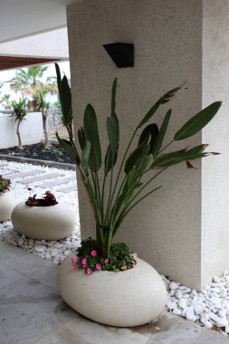 standları ve büyüyen çiçekler ve bitkiler için tencere 