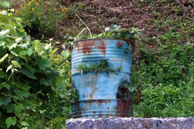 standları ve büyüyen çiçekler ve bitkiler için tencere 