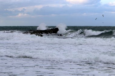 Akdeniz'de İsrail devletinin kuzey kıyısında 
