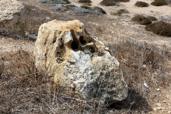 Stenarna Ligga Park Norra Israel — Stockfoto