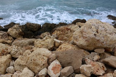 taşlar ve kabukları Kuzey İsrail'Akdeniz kıyısında