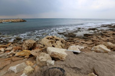 taşlar ve kabukları Kuzey İsrail'Akdeniz kıyısında
