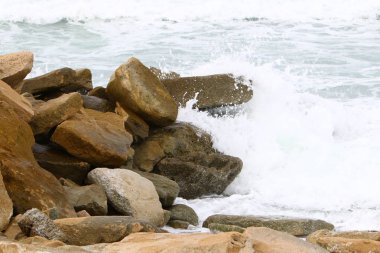 taşlar ve kabukları Kuzey İsrail'Akdeniz kıyısında