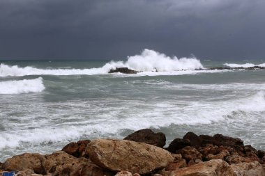 taşlar ve kabukları Kuzey İsrail'Akdeniz kıyısında