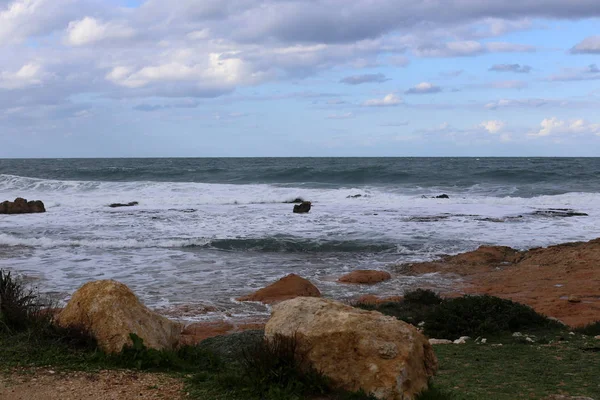 Piedras Conchas Las Orillas Del Mediterráneo Norte Israel — Foto de Stock